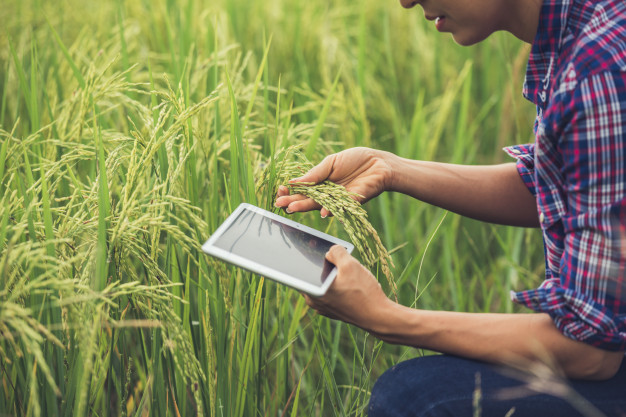 AgTech en Argentina: Transformando la agricultura y ganadería del país