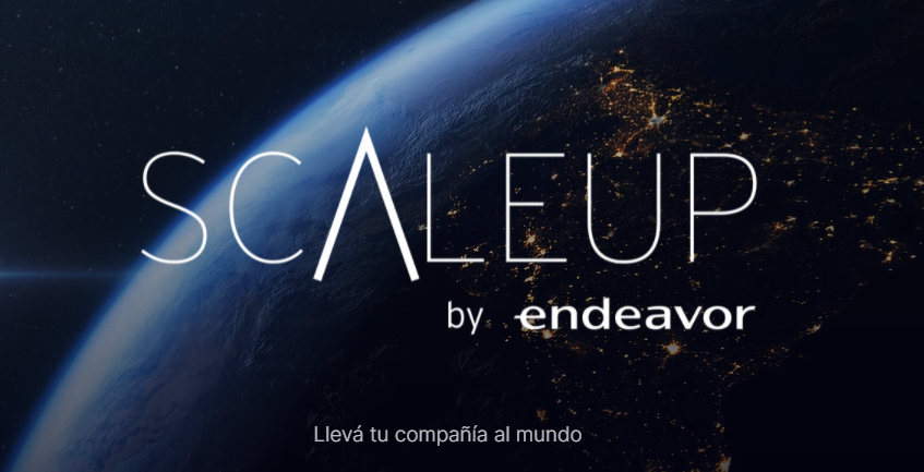 Programa Scaleup